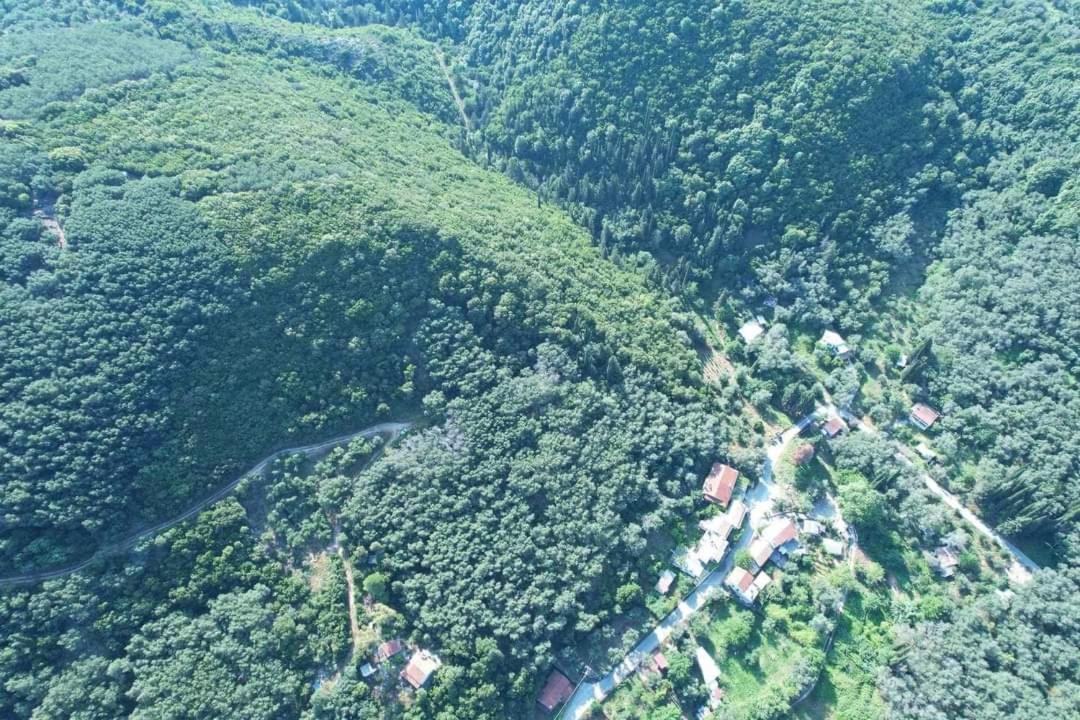 Harry'S Retreat Vendégház Klimatia Kültér fotó